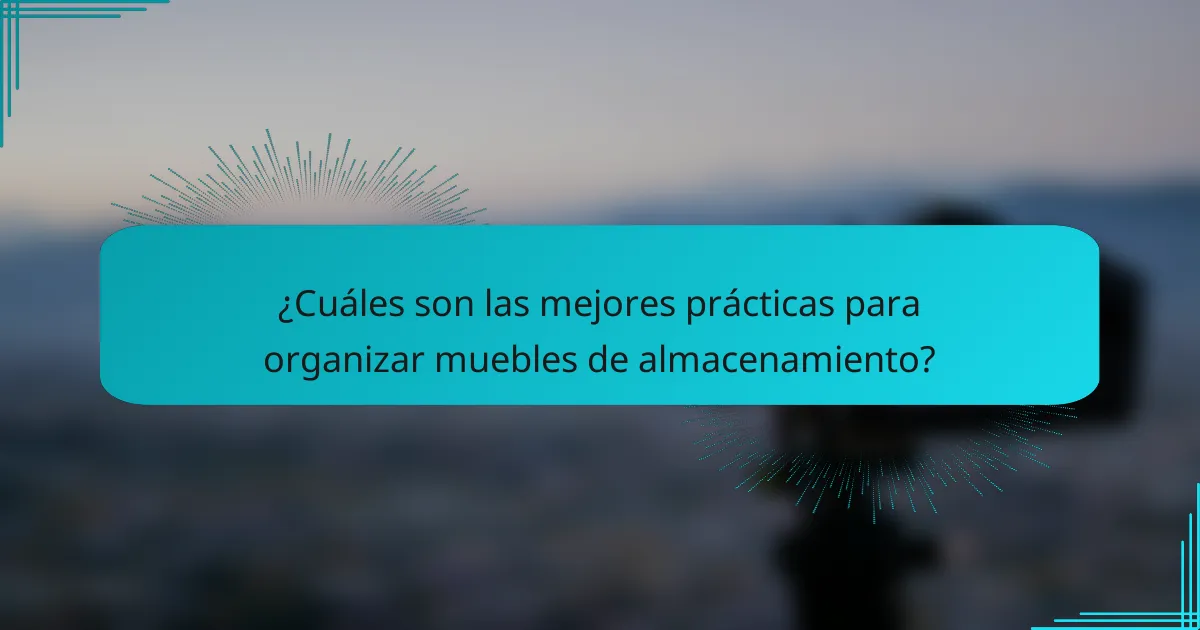 ¿Cuáles son las mejores prácticas para organizar muebles de almacenamiento?
