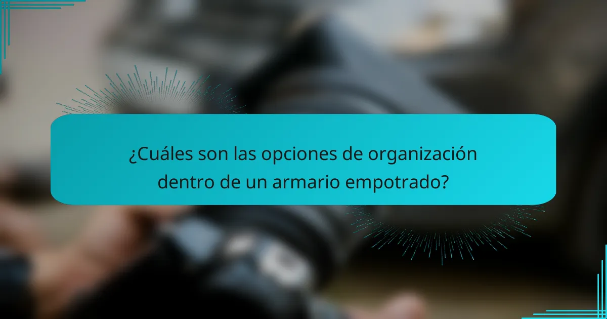 ¿Cuáles son las opciones de organización dentro de un armario empotrado?