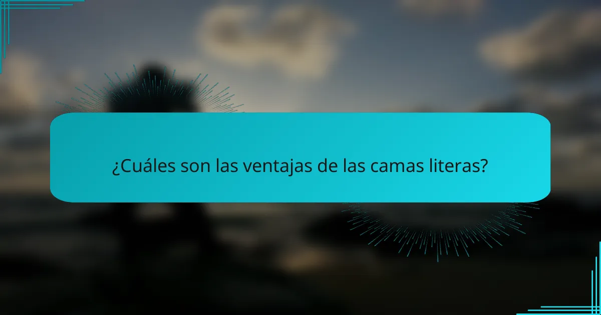 ¿Cuáles son las ventajas de las camas literas?