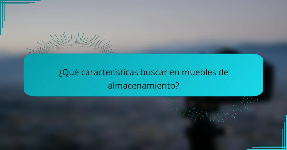 ¿Qué características buscar en muebles de almacenamiento?
