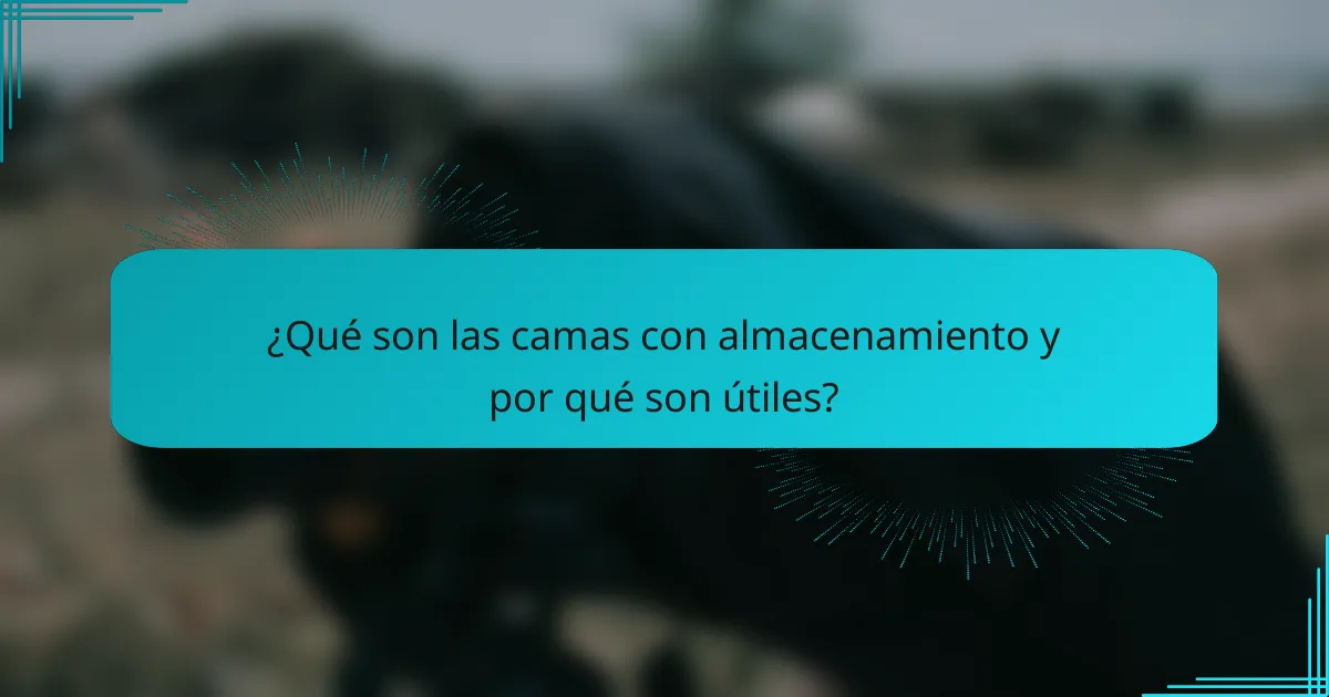 ¿Qué son las camas con almacenamiento y por qué son útiles?