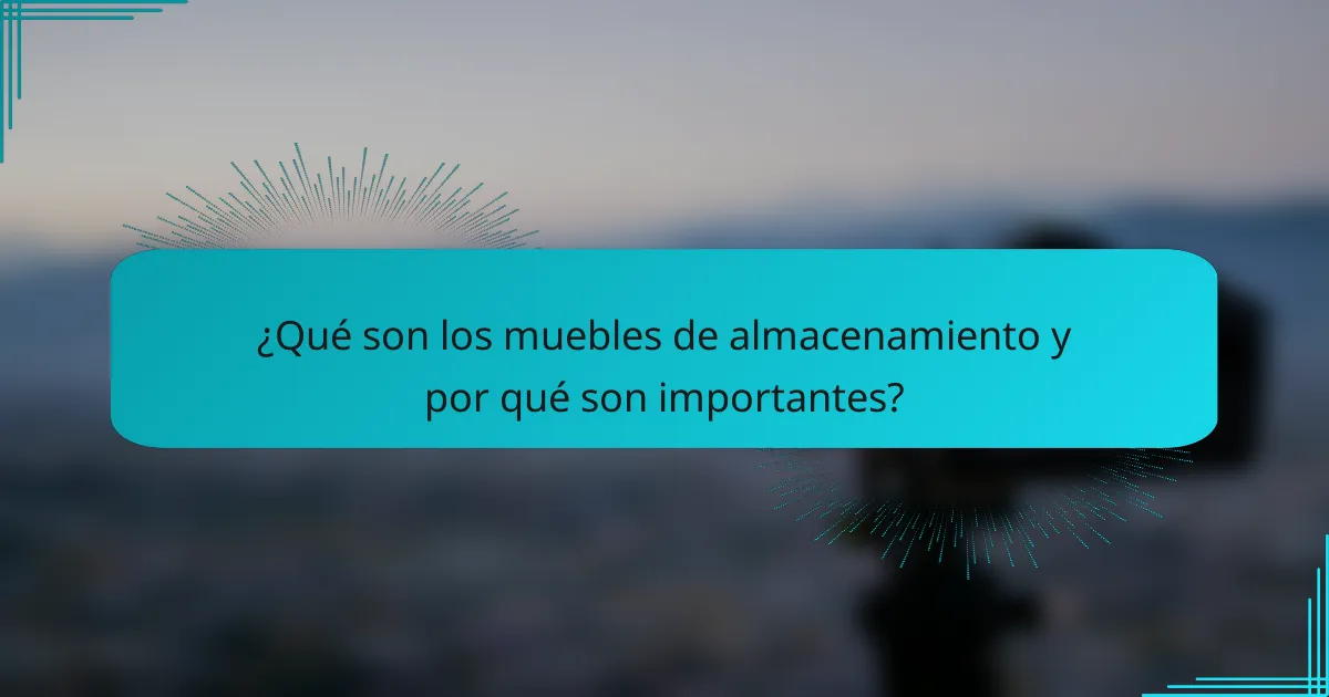 ¿Qué son los muebles de almacenamiento y por qué son importantes?